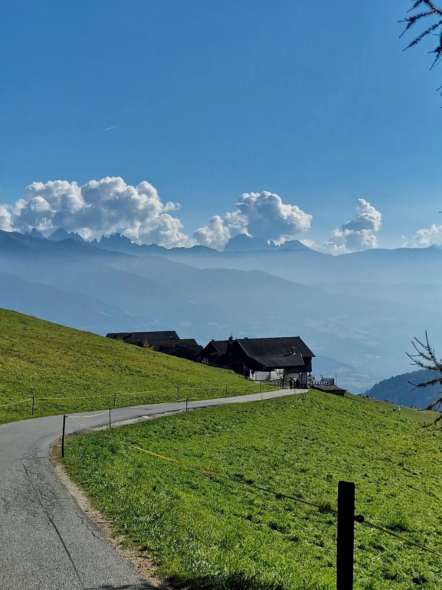 Almweg in Südtirol