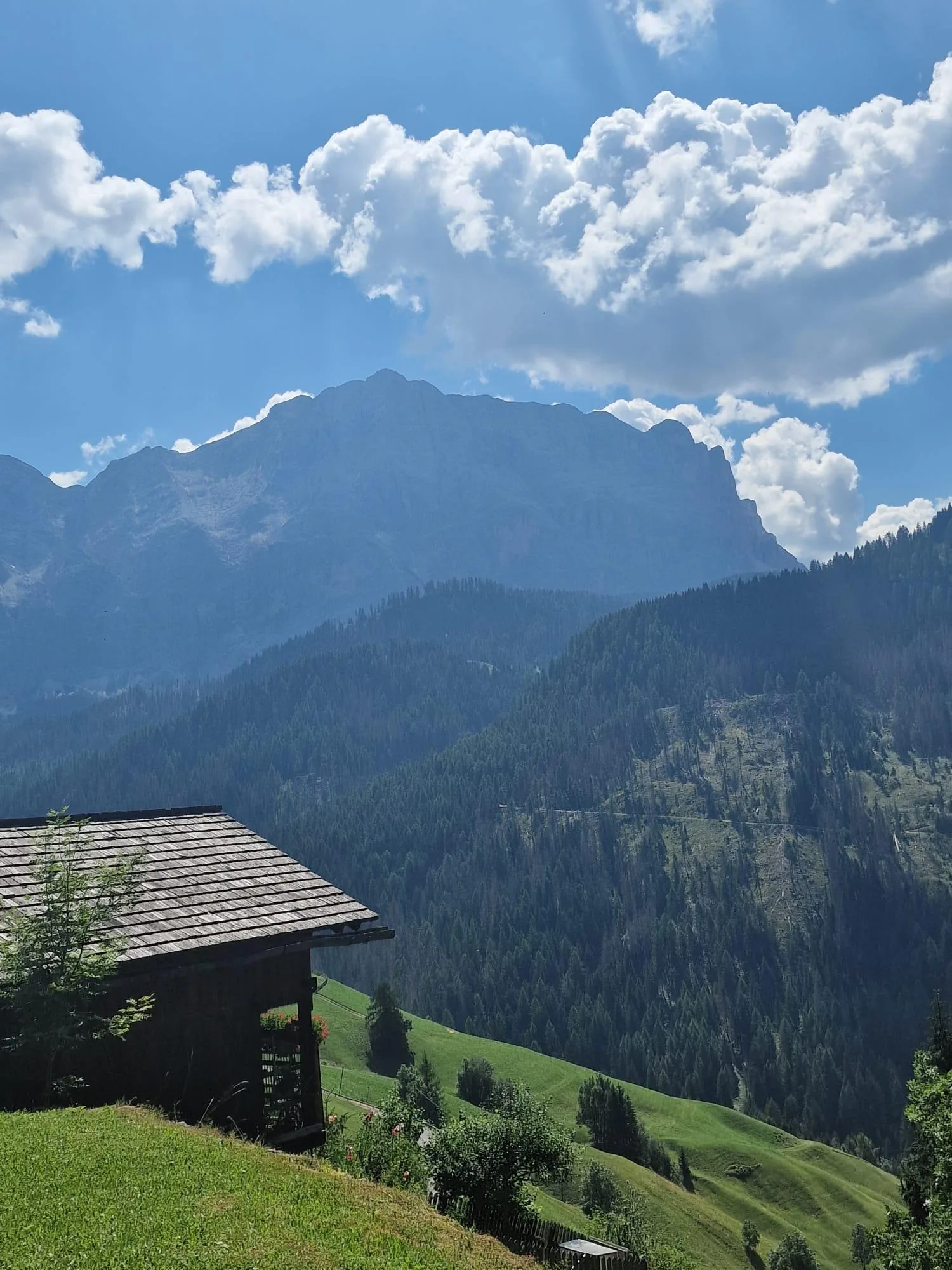 Almhütte vor Bergpanorama in Südtirol